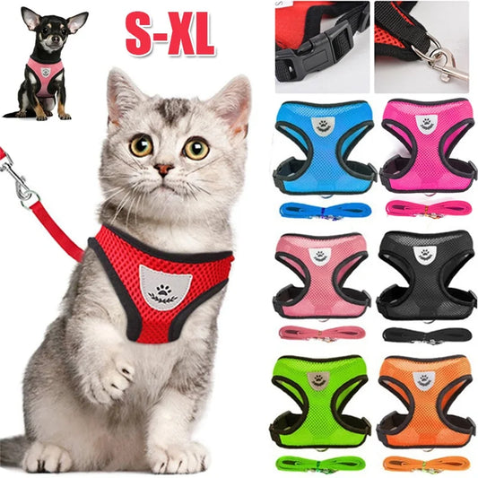 Harnais Respirant pour Chat & Petit Chien — Réfléchissant, Ajustable avec Laisse