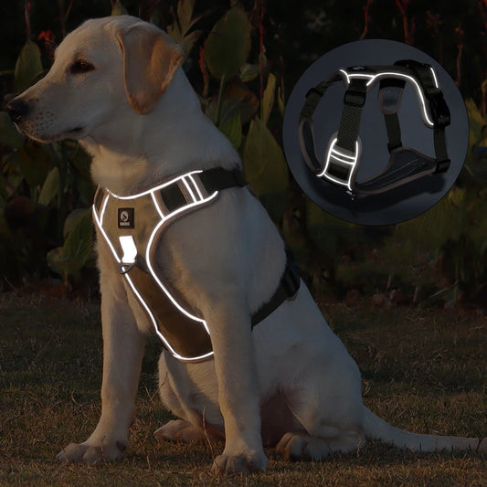 Harnais Réfléchissant pour Chien — Sangle Poitrine Anti-Traction, Taille Unique Ajustable